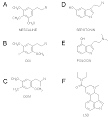 The Chemical Structure Of Some Common Hallucinogens Chemical Structure Chemistry Tattoo Chemistry