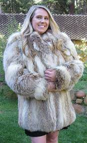 Please read the site status forum and wait 30 minutes upon downtime discovery before making new posts inquiring about fur affinity's status. Ebayer Fur Fashion Guide Furs Fashion Photo Gallery Fourrure