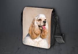 Image result for americký kokršpaněl