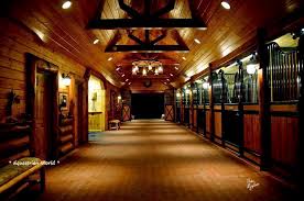Download this free vector about farm scenes with horses and barns, and discover more than 10 million professional graphic resources on freepik. 20 Absolutely Breathtaking Barn Aisles Dream Horse Barns Dream Barn Luxury Barn