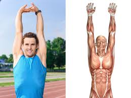 Image result for Shoulder Range of Motion Exercises