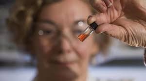 Scientists have discovered the world's oldest color —bright pink