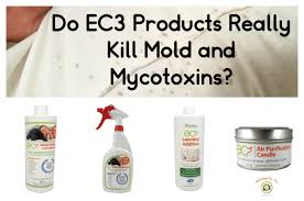How To Remove Mould Spores From The Air