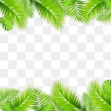 The pnghost database contains over 22 million free to download transparent png images. Leaf Green Tropical Border Jungle Leaves Background Nature Abstract Summer Illustration Beautiful Design Art Decora Leaf Clipart Green Leaf Background Clip Art