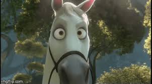 In actuality, a horse's permanent teeth are fully formed in the first few years of life, but most of the tooth is below the gum line. I Am The Horse In The Animated Film Horse Nation