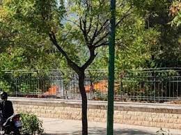 Το πεδίον του άρεως έχει έκταση 270 στρέμματα, νούμερο που μεταφράζεται σε δεκάδες δρόμους και δρομάκια, αλάνες και στενωσιές, μνημεία και αξιοθέατα που μπλέκονται δαιδαλωδώς σε ένα. Kjixinqyejayvm