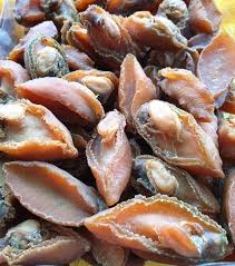 Maybe you would like to learn more about one of these? Jual Abalon Bao Yu Kering Export Quality Big Dried Clean Abalone 1 Kg Di Lapak Serena Bukalapak