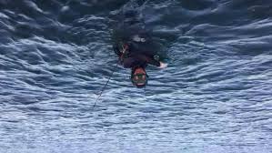 One of the most convenient and fast cooking methods for triggerfish is to oven roast it. Beer Battered Trigger Fish Eringoscratch