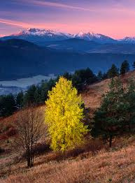 Landscape types of slovakia were defined by the synthesis of the mentioned. Slovakia Landscape Photography And Blog Land Colors