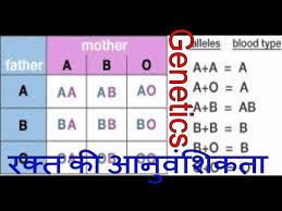 hereditary of blood determination of blood group from