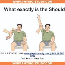 Image result for Neer Test