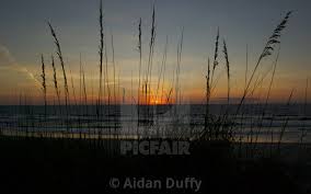 Sunrise At the Beach - License, download or print for £12.40 ...