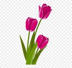We did not find results for: Free Spring Flower Clipart 19 Buy Clip Art Tulips Clipart Free Transparent Png Clipart Images Download