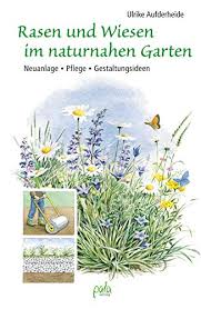 Der designgarten sieht nicht nur schön aus, er ist auch pflegeleicht! Rasen Und Wiesen Im Naturnahen Garten Neuanlage Pflege Gestaltungsideen Ebook Aufderheide Ulrike Schneevoigt Margret Amazon De Kindle Shop