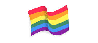 A list of many of the pride flags in the lgbtq+ community, and the meaning behind each flag in 2021. Lgbtq Pride Flags And What They Mean See Gay Lesbian Trans And More