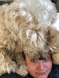 No regard for personal space 😂