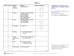 Iasp On Twitter 6th Top Accessed Pain Article In 2017 The Behavior Pain Assessment Tool For Critically Ill Adults A Validation Study In 28 Countries Https T Co Afsnz1kzw9 Painjournal Editorschoice Clinical Https T Co Qm9hmao0cc