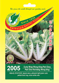 2005 Curly Wrap Wong King Pak Choy