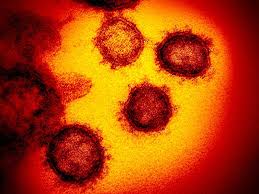 Eine abstimmung mit den landesjugendämtern sei nicht erforderlich. New Variant Of Coronavirus Detected In Berlin Berlin De