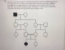 Solved Consider The Following Pedigree The Autosomal No