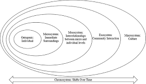 Pediatricians, family medicine physicians and other specialists at utmb have the experience, training, compassion and special skills to meet the changing needs of children, at all ages. Bringing Inclusion Into Pediatric Primary Health Care A Systematic Review Of The Behavioral Health Treatment Of Racial And Ethnic Minority Youth Journal Of Pediatric Health Care