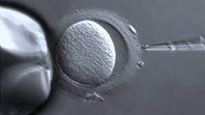 Motherless babies!' How to create a tabloid science headline in five easy  steps | Science | AAAS