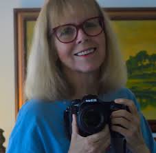 First Tennessee Warbler Sighting in Yard