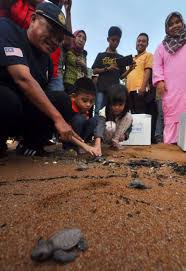 Laporan lawatan ilmiah ke pusat konservasi & penerangan penyu melaka. Padang Kemunting Bakal Perkampungan Mesra Penyu