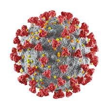 550+ Virus Pictures | Download Free Images on Unsplash