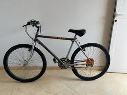 Image result for Gris 1990 ARO