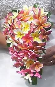 Frangipani Flower Bouquet Hawaii Composizioni Floreali Fiori Piante Di Casa