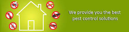 Allied pest pest control 1211 tech blvd, suite 123 tampa florida dial: Tips To Choose The Best Pest Control Services Boltin Pest Control