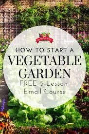 How To Start A Vegetable Garden Vegetable Garden For Beginners Starting A Vegetable Garden Summer Vegetables Garden