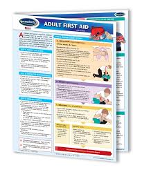 Adult First Aid Chart First Aid Cpr And Choking Quick Reference Guide