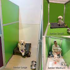 Pet paradise resort trenton trenton, tx 75490 | 2.1 miles away. Puppy Dog Boarding Denver Paradise 4 Paws