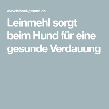 In diesem sind besonders viele vitamine, mineralien und. Leinmehl Sorgt Beim Hund Fur Eine Gesunde Verdauung Leinmehl Mehl Leinol Gesund