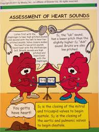 Heart Sounds Cardiac Nursing Cardiovascular Nursing Nursing Mnemonics