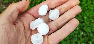 Tra le zone più pesantemente colpite la vallagarina e la val di non. Bybtaoc2o8xqum