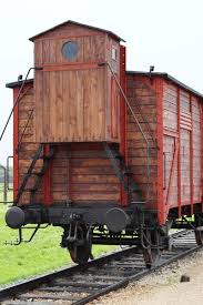 Image result for cattle cars