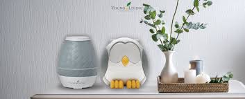 Young living's aria™ ultrasonic diffuser is a unique, natural way to bring the benefits of essential oils into your home or workplace. Feather Owl Diffuser Vs Sweet Aroma Diffuser Young Living Blog