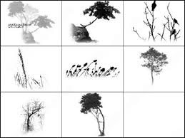 Almost files can be used for commercial. Trees Photoshop Brushes Download 59 Photoshop Brushes For Commercial Use Format Abr