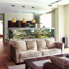 best aquariums for fish keeping newbies small living room design family friendly living room living room divider