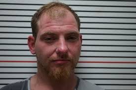 Murphysboro, Ill. man sentenced to 1 year in prison