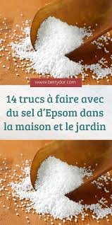 epingle sur nettoyage et rangement