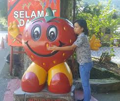 Check spelling or type a new query. Our Wonderful Simple Life Kebun Stroberi Di Gohtong Jaya Genting Highland