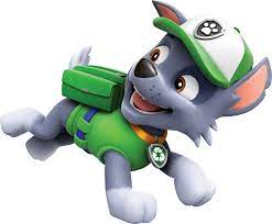 Patrulha Canina Rocky 01 Imagens Png Paw Patrol Rocky Paw Patrol Birthday Paw Patrol