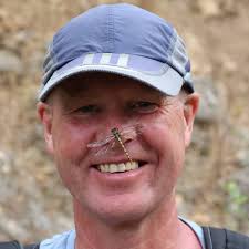 A huge blue dragonfly in the house, a peacock butterfly in the garden… it's  been a nature-soaked weekend here. All safely rescued or admired, of  course. Is there any symbolism to dragonflies?