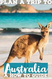 Planning A Trip To Australia A How To Guide Australia Travel New Zealand Travel Australia Travel Guide