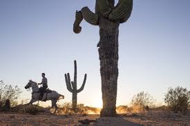 Phoenix — the phoenix police department is investigating a shooting near 43rd avenue and cactus road. Https Www Azcentral Com Story Entertainment Dining Dominic Armato 2016 10 04 Tratto Restaurant Review Phoenix Chris Bianco 91125408 2019 11 18t19 46 27 988z Https Www Gannett Cdn Com Media 2016 10 03 Phoenix Phoenix 636111162907621206