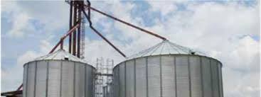 Image result for Dissotis anchietae